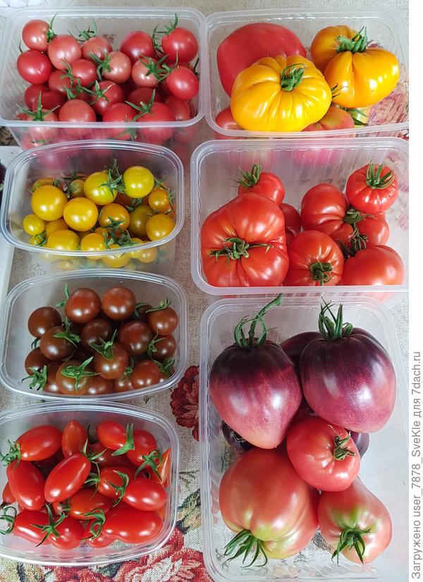 Вот как-то так