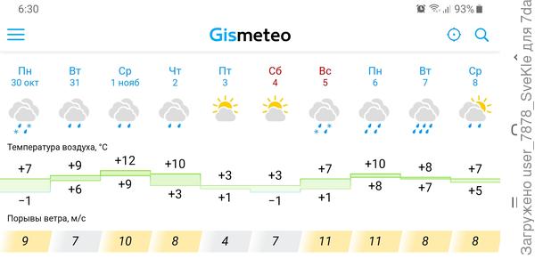 Вот такой прогноз рисуют