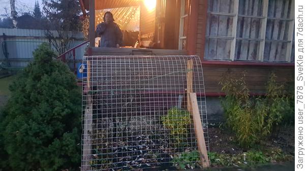 Так мы и для азалий сделали, но только крышу от ледяных дождей, чтобы бутоны, с которыми в зиму уходит не уродовало.