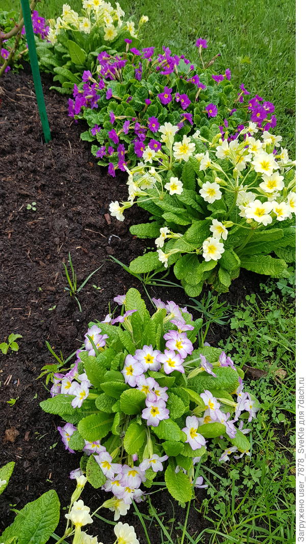 До чего ж они меня радуют!