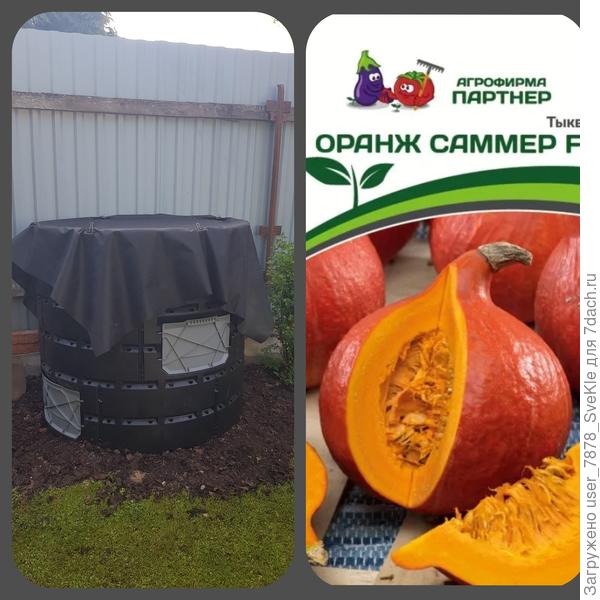 Вот в этот &amp;quot;вазоньчик&amp;quot; хотим тыковку пристроить😊