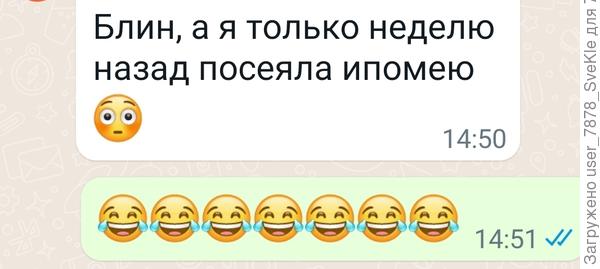 Подруга пишет👇