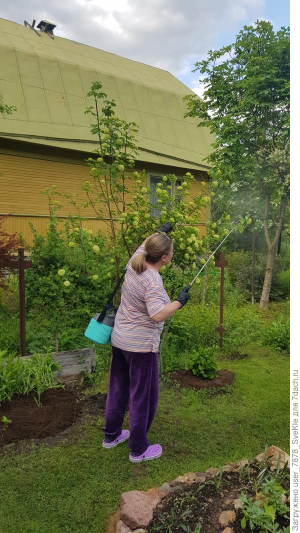 На фото 5-ти литровый Zema