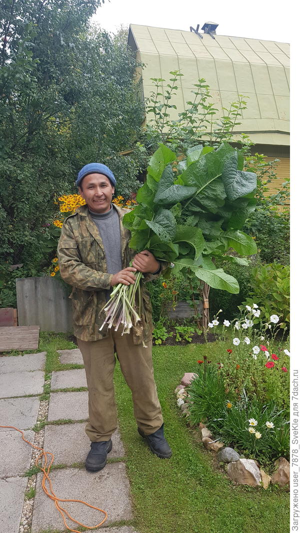 И хрен выкорчует)))