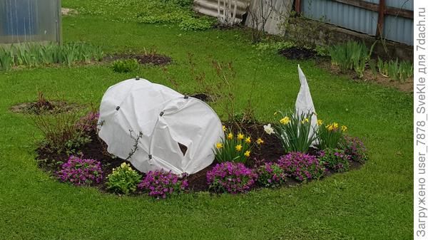 Это так розарии обрамляли