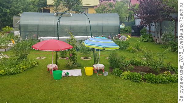 Такие "троны" есть и у нас) Куда ж без них-то?!