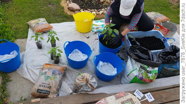 Желтые и зеленые - для хоз.нужд. Жаль красных в наличии не было)))