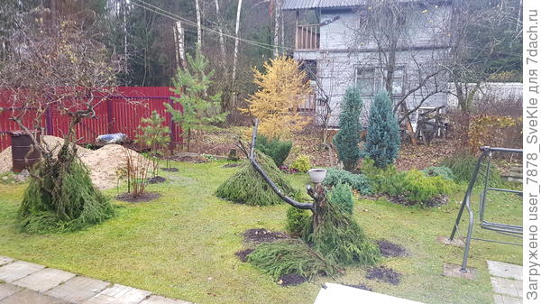 А затем лапником прикрыли