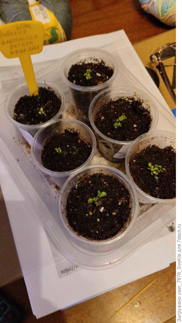 Вот. С 4 февраля ни туды ни сюды(