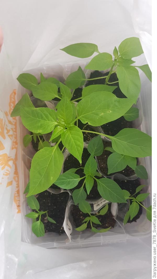 Собираемся домой