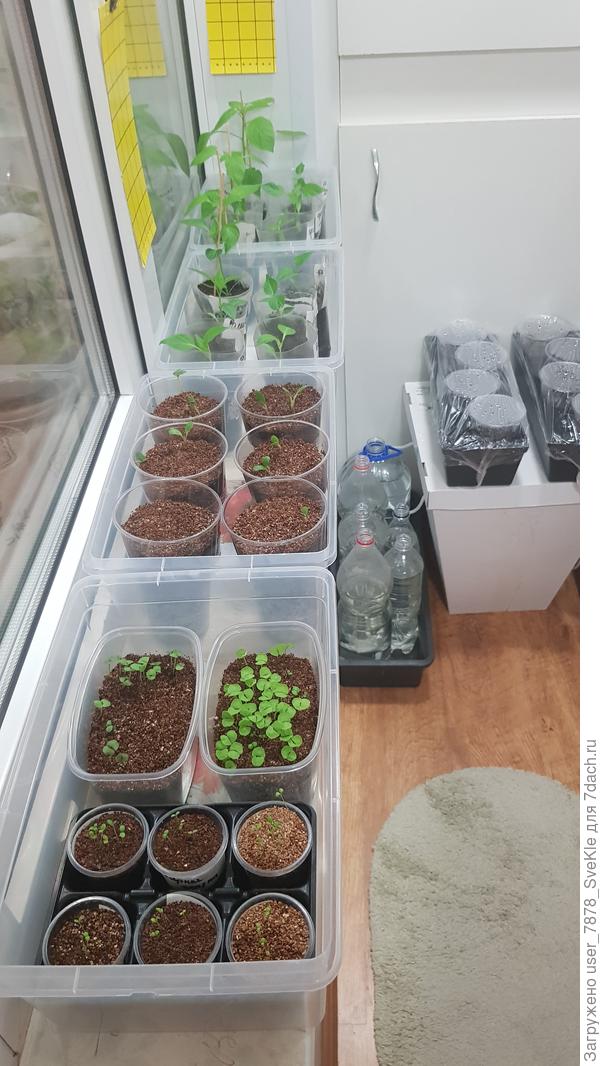 Ты хотела посмотреть фотки. Вот так сейчас на моём балконе становится)