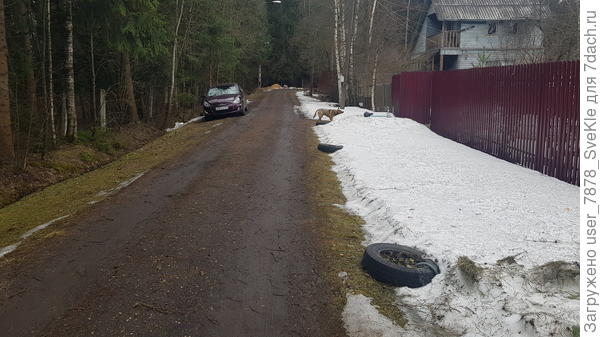 Слева весна, справа зима