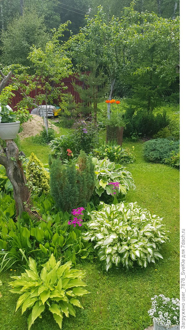 Видишь, между хостами специально хорошее расстояние, чтоб косилка влезала.