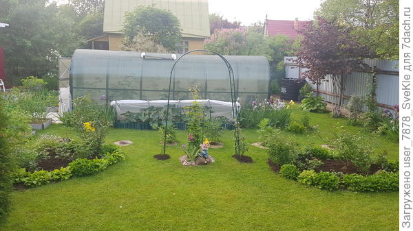 Здесь везде косилка, кроме кабачковой грядки. Там заборчик выпуклый - красивей, когда последние штрихи ножницами сделать.