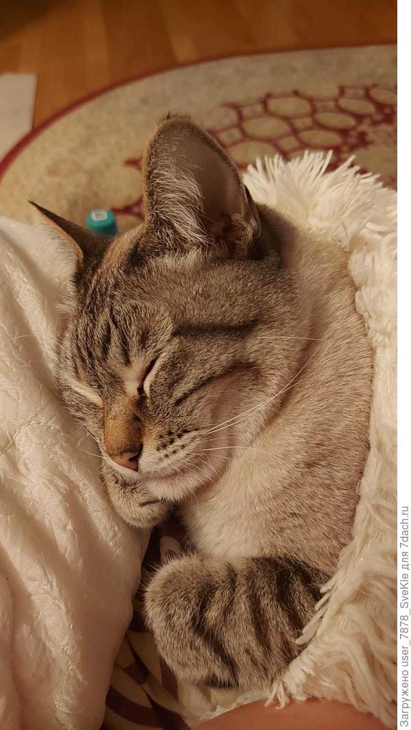 Потепления пока не ждите