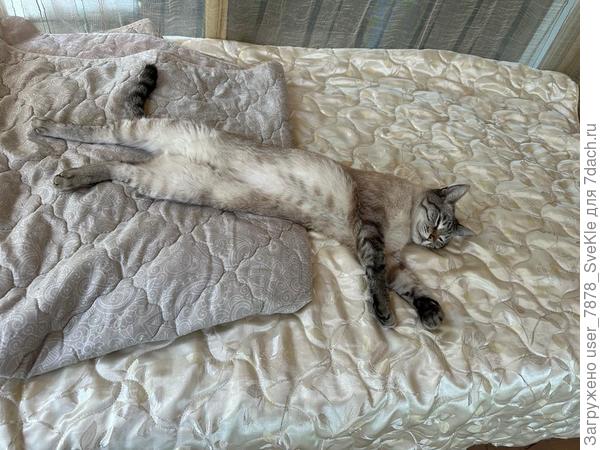 Погодка - ништяк)