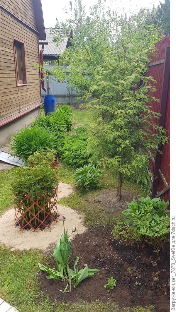 Вид слева сразу при входе на участок