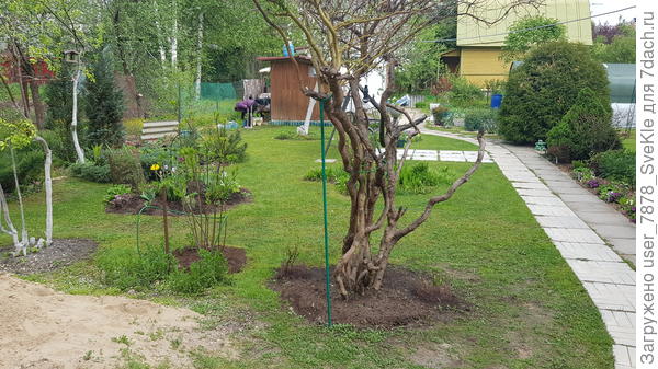 Это вид от входа, если стоять рядом с бочкой)