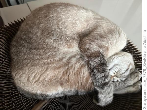 Дело - труба, Христофор Банифатьич