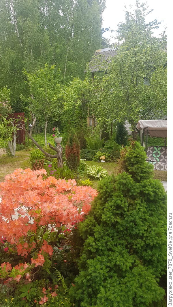 Это вид сбоку с веранды