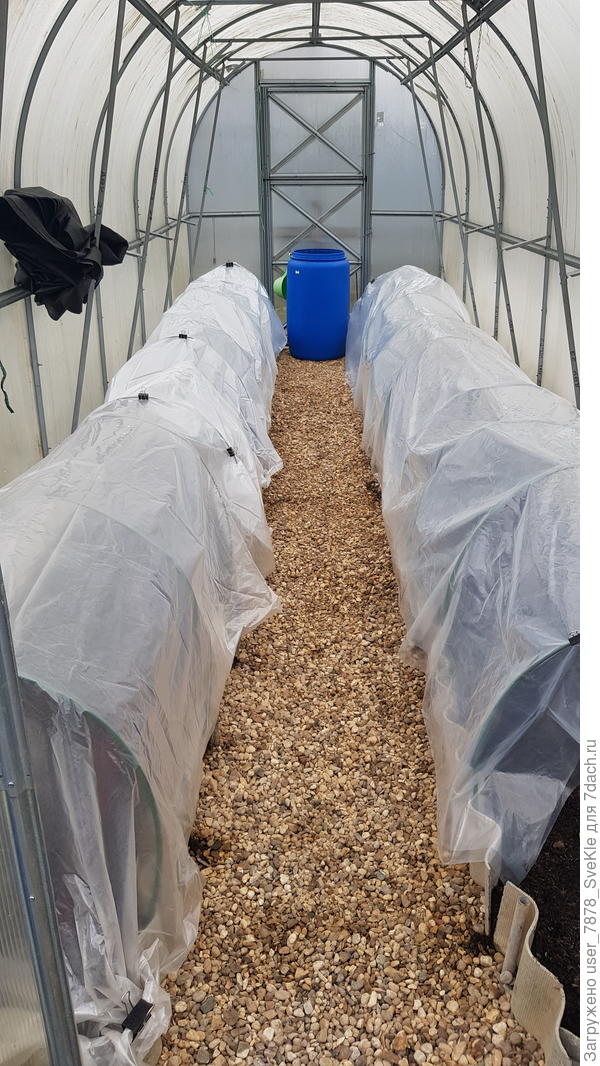 Хотя в теплице вторую неделю грядки под пленкой стоят греются, но нет, наверно. Не рискну.