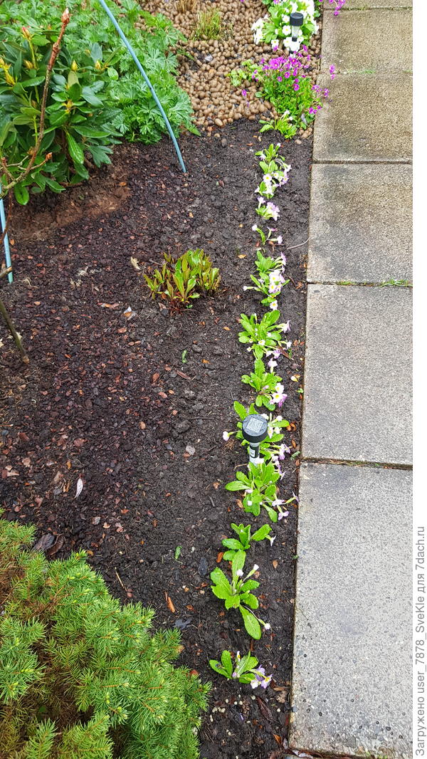 Вот слелала еще кусочек бордюрчика