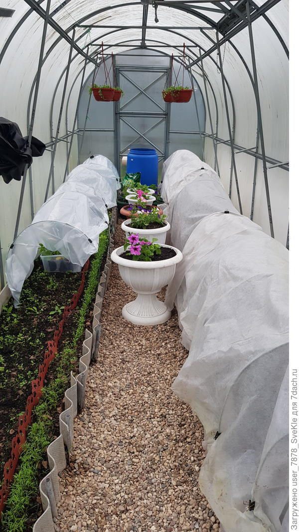 Теплица, как обычно, в мае напоминает склад