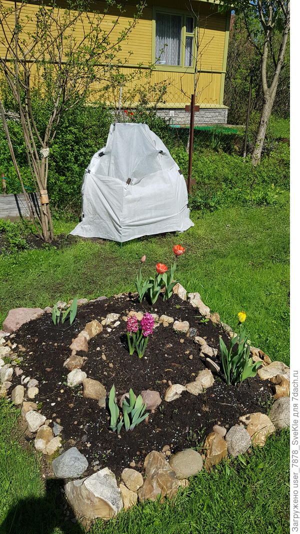 ...и еще одна