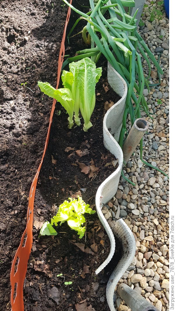 Вот как-то так