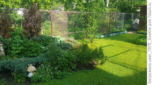 Просто утро после ливня