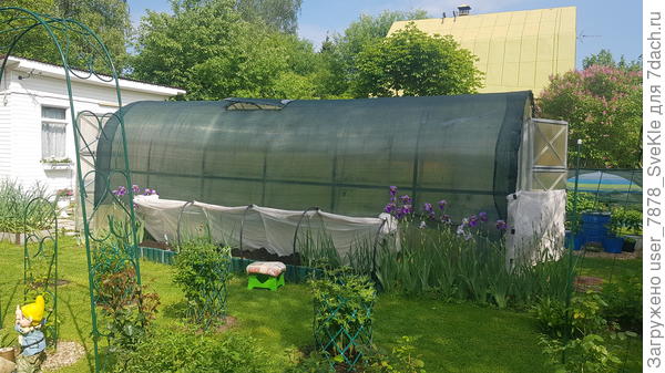 Воон там табуреточка стоит - высаживаем кабачки