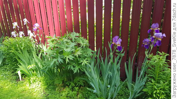 Специально для тебя сфоткала