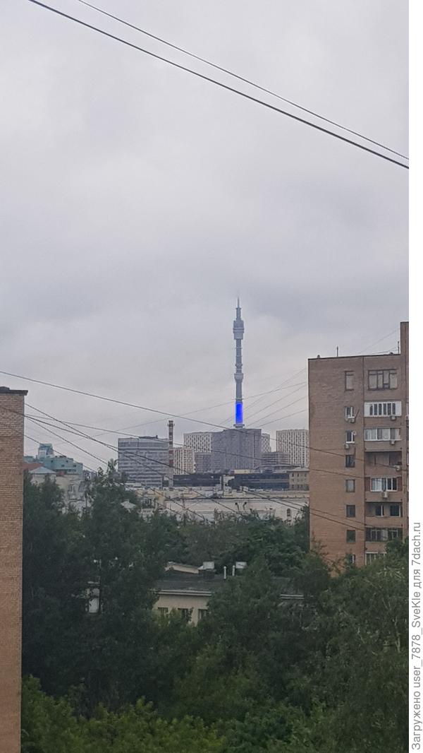 Облачность плотная и достаточно еще низкая.