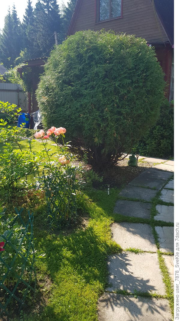 Благо кусторезы и обычные и аккумуляторные в наличии, а также стремянка, веерные грабли, тачка и бочка для сжигания в наличии.