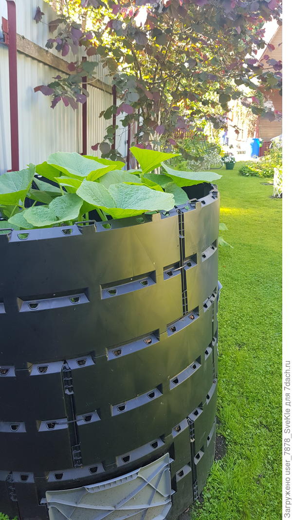 Компостер уже превращается в гран-вазон