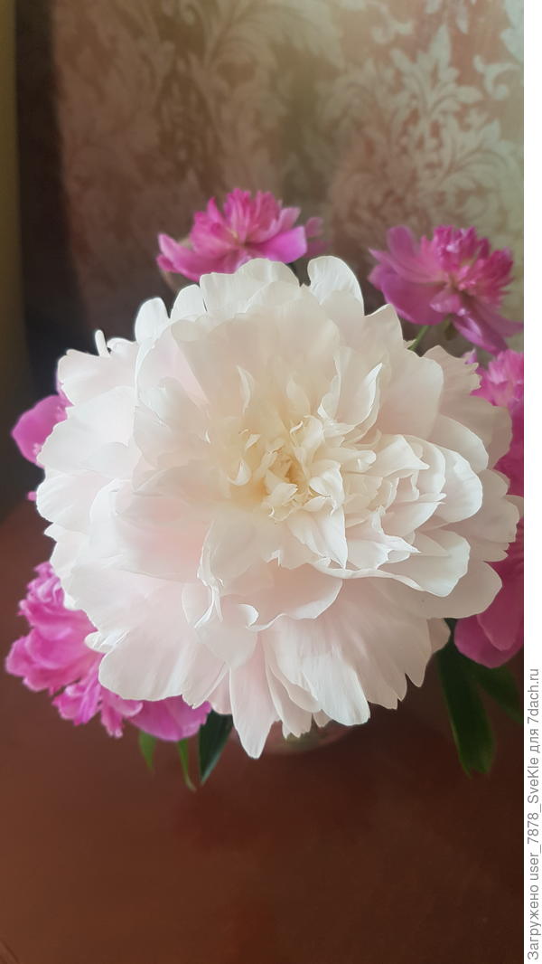 Рабочие будни скрашивает вот такая красота 🤗