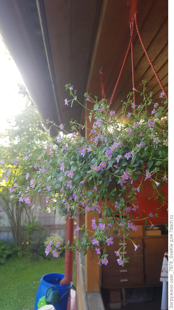 Доброго всем утра и приятных выходных🙋♀️