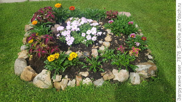 ...свой цвет показали еще не все. Там еще и белые должны быть.