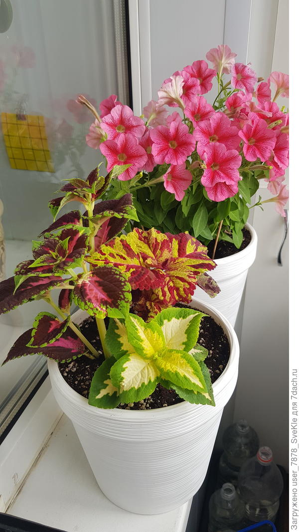 Утро солнечное, на небе ни облачка. Включаем кондиционеры.