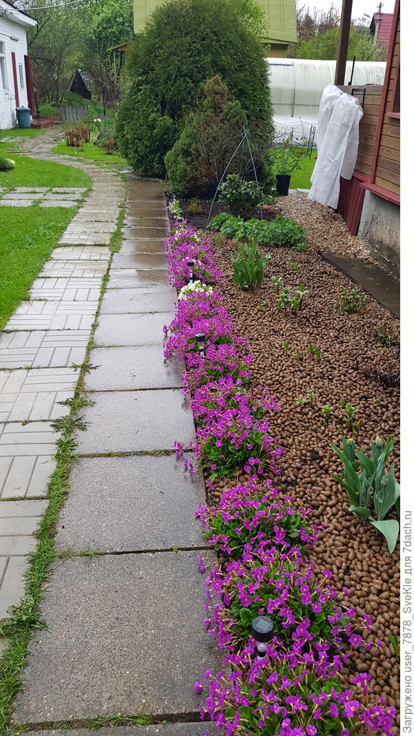 1 мая рабатка вдоль дома