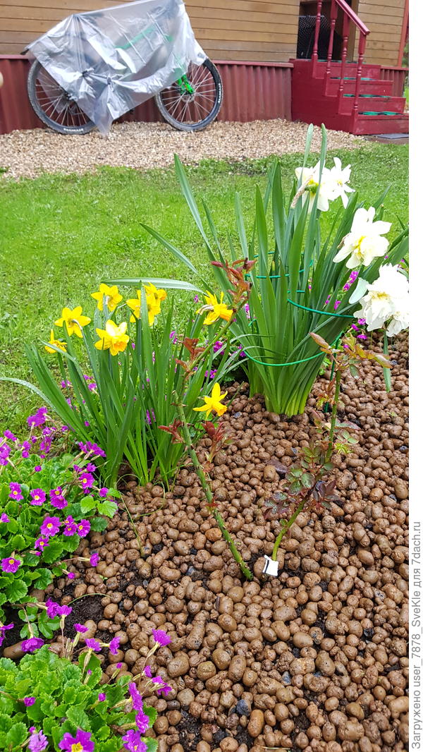 1 мая кусочек розария