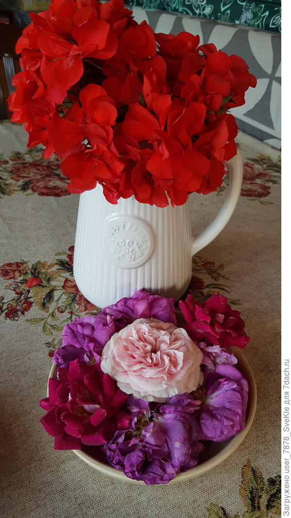 Жизнь прекрасна и удивительна 😇