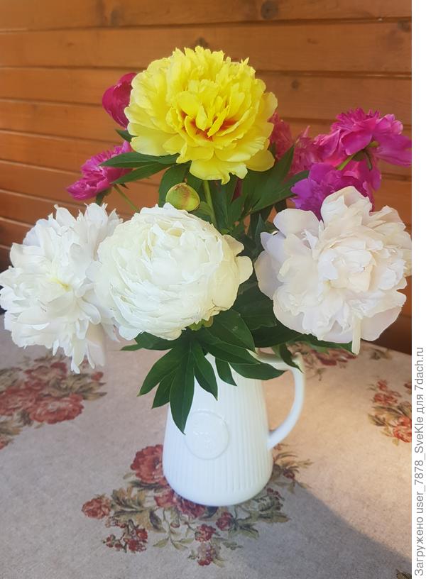 Солнечного настроения!