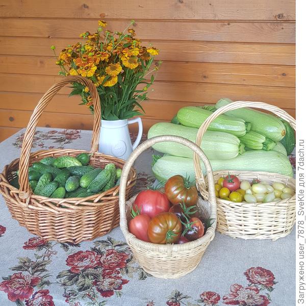 Натюрморт выходного дня