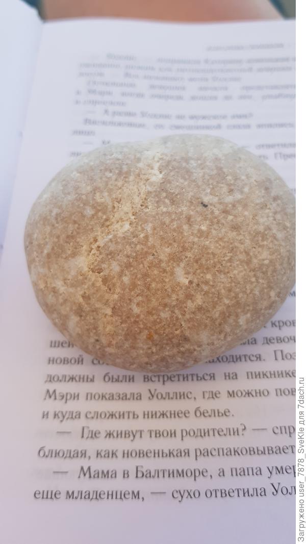 Вот этот мне приглянулся. Теперь придавливает странички от ветра)