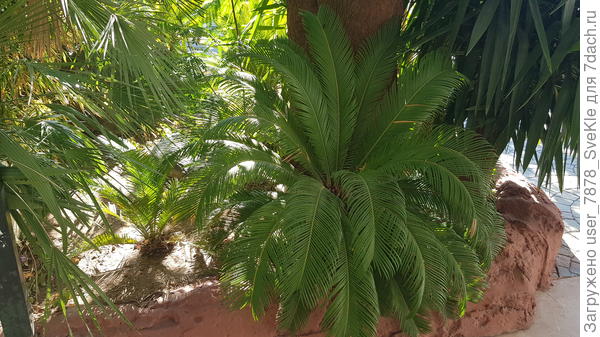 Ну, посмотри, какие очаровашечки🤗