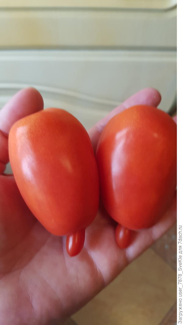 Легенда Тарасенко вот с такими носиками)