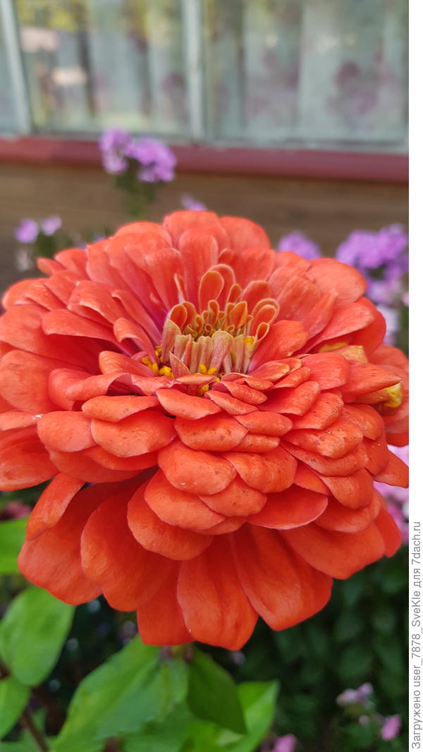 С Днём Рождения! 🥳