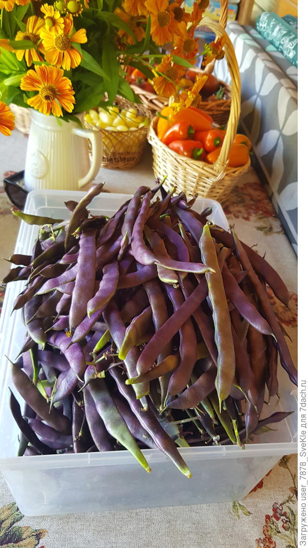 ..и фасольки) положу в заморозку