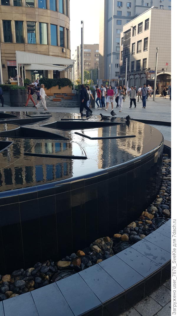 Голуби купаются в &quot;джакузи&quot; (так мы называем фонтан на Белой площади)